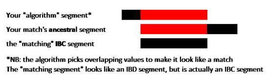 02 Overlapping IBS Segment pic7