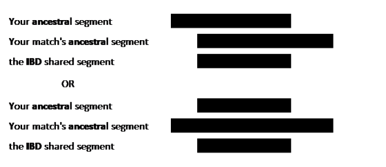 02 Overlapping Segment graphic pic5