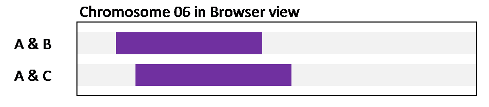 11D Figure 1 Browser
