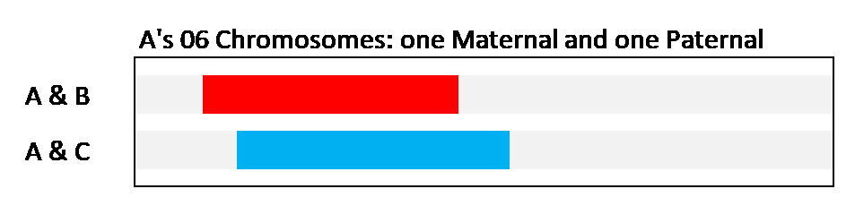 11D Figure 2a Two Chr