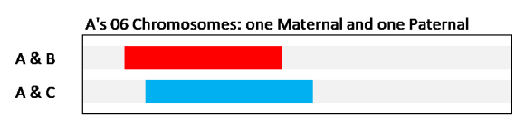 11D Figure 2a Two Chr