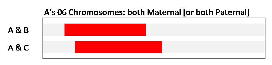 11D Figure 3a One Chr